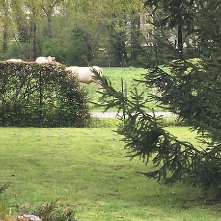 Cottage De Charme A La Campagne Aulnoy Exteriér fotografie