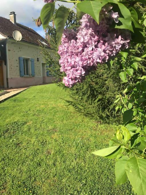 Cottage De Charme A La Campagne Aulnoy Exteriér fotografie
